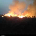 ۹ هکتار از پارک ملی دز در آتش سوخت