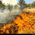 مهار آتش‌سوزی در منطقه شکارممنوع قلعه شاداب دزفول