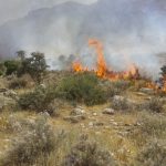 ۴،۷ هکتار از جنگل های زاگرس در دزفول در آتش سوخت