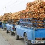 قاچاق پیاز با کامیون‌های حامل گوجه